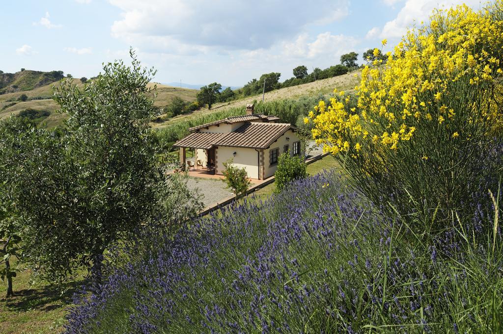 Le Capannacce Villa Cinigiano Exterior photo